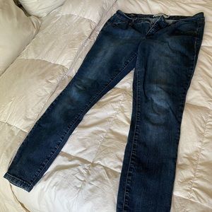 Torrid jeans